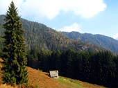 Alle Torcole vestite d'autunno il 23 ottobre 2011  - FOTOGALLERY